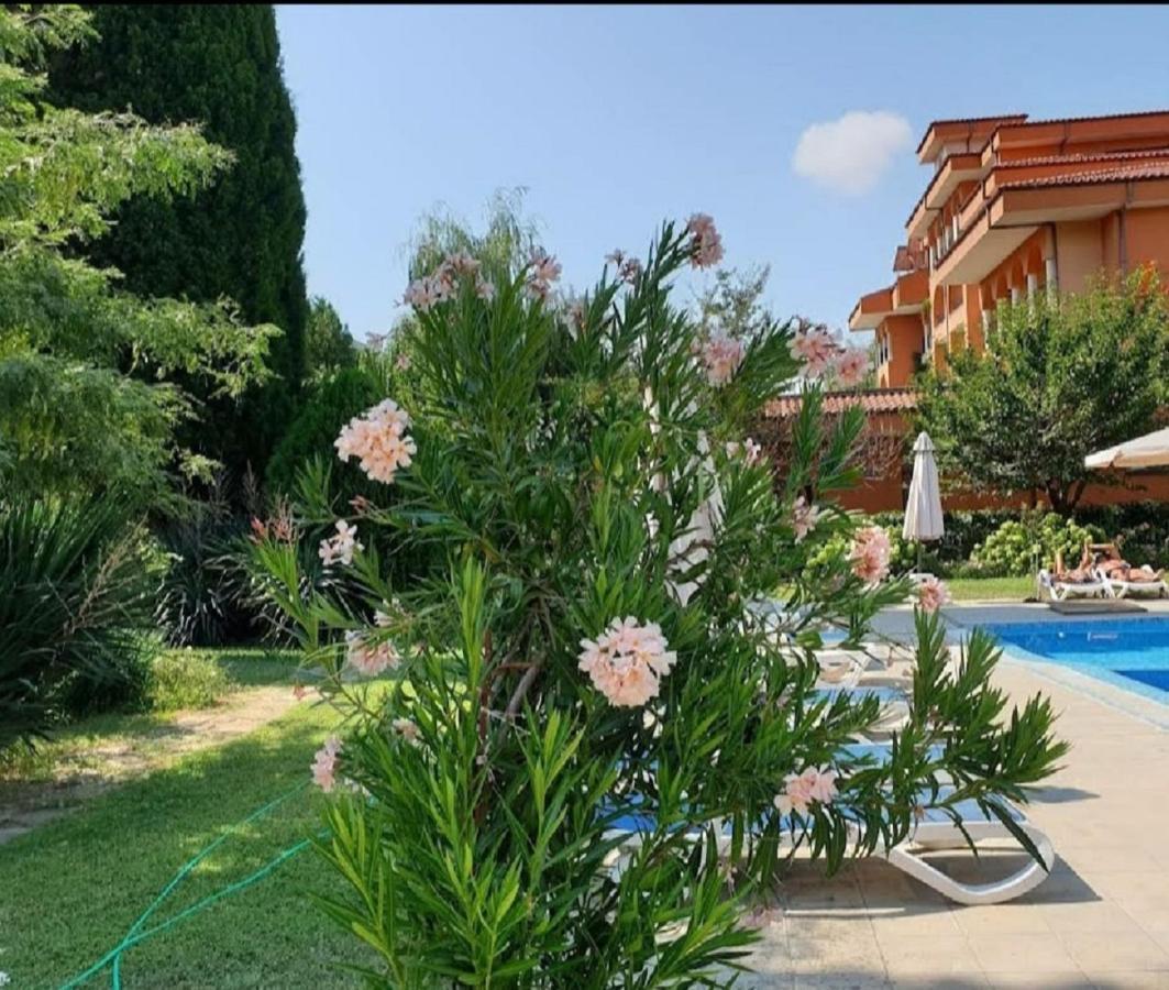 Double or Twin Room Garden View