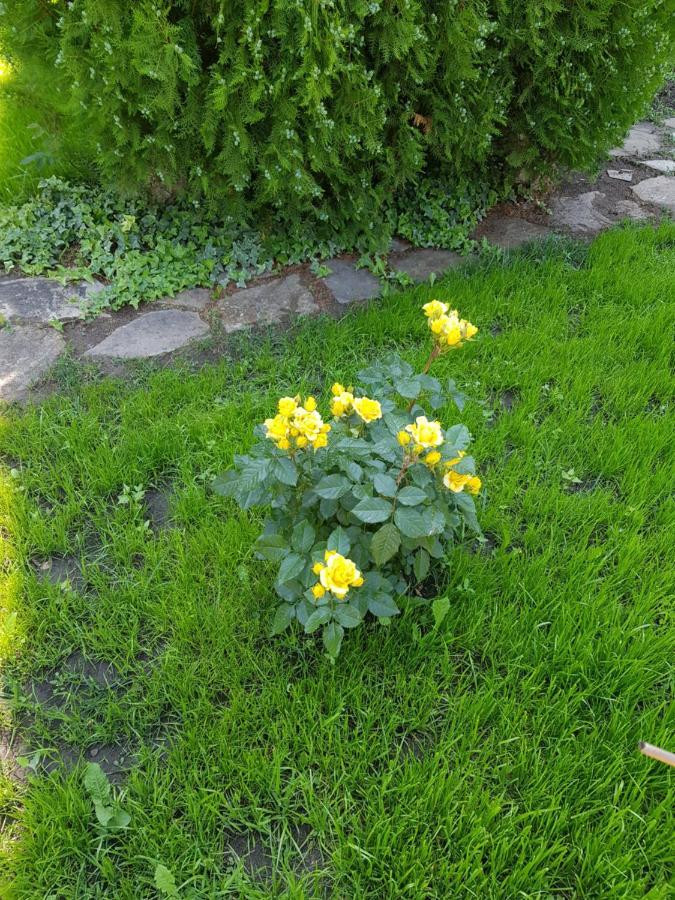 Double or Twin Room Garden View