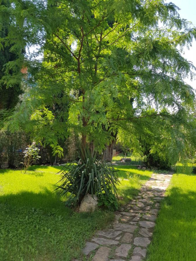 Double or Twin Room Garden View