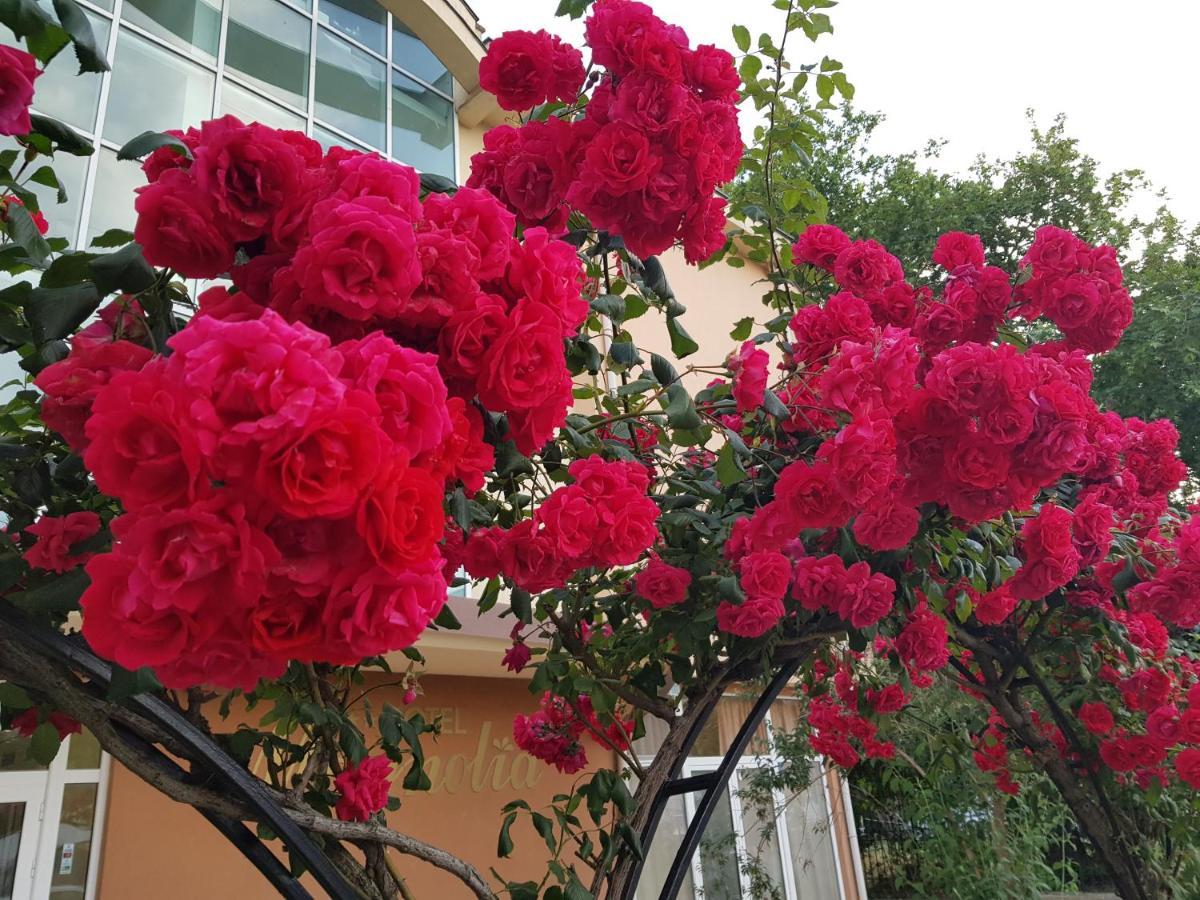 Double or Twin Room Garden View