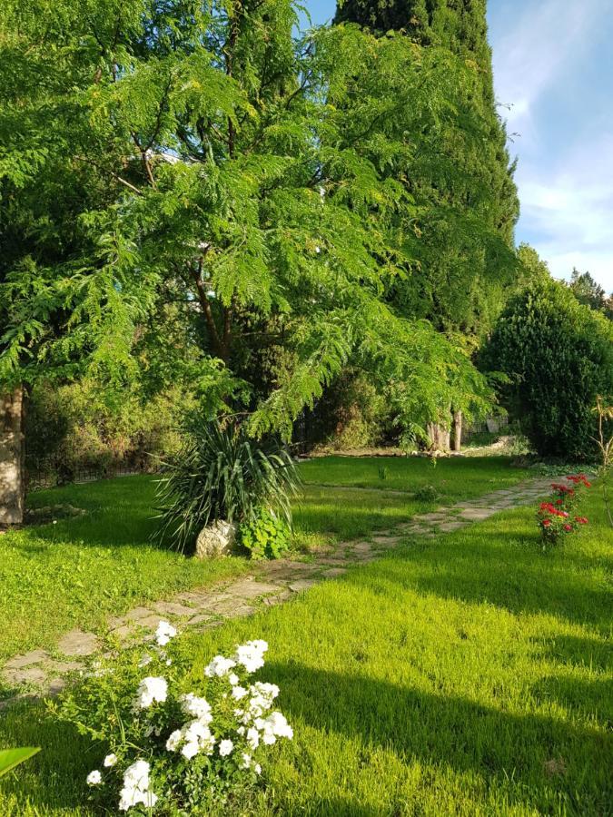 Double or Twin Room Garden View