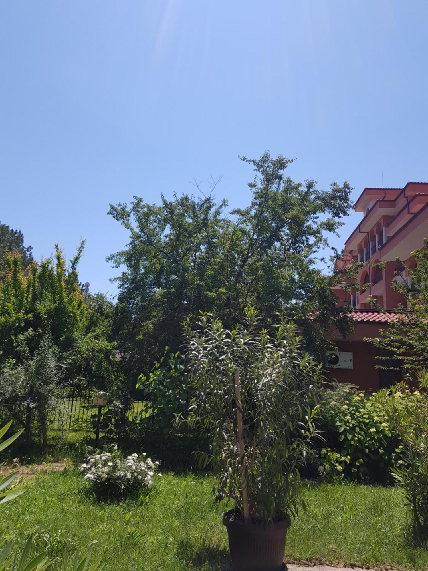 Double or Twin Room Garden View