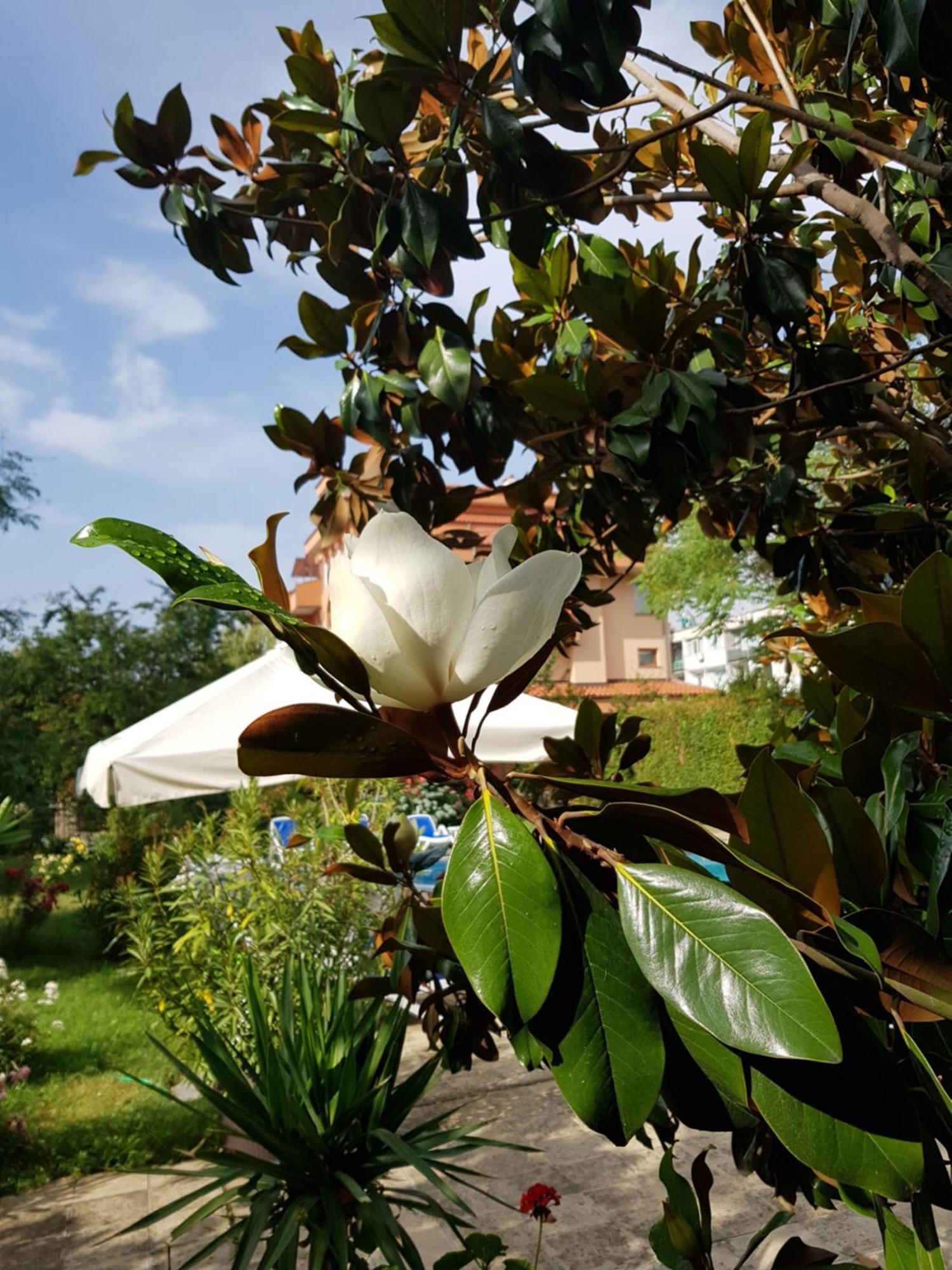 Double or Twin Room Garden View