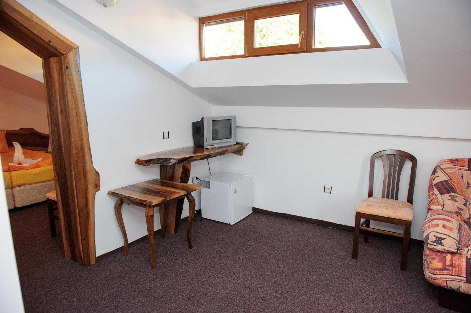 Apartment Attic