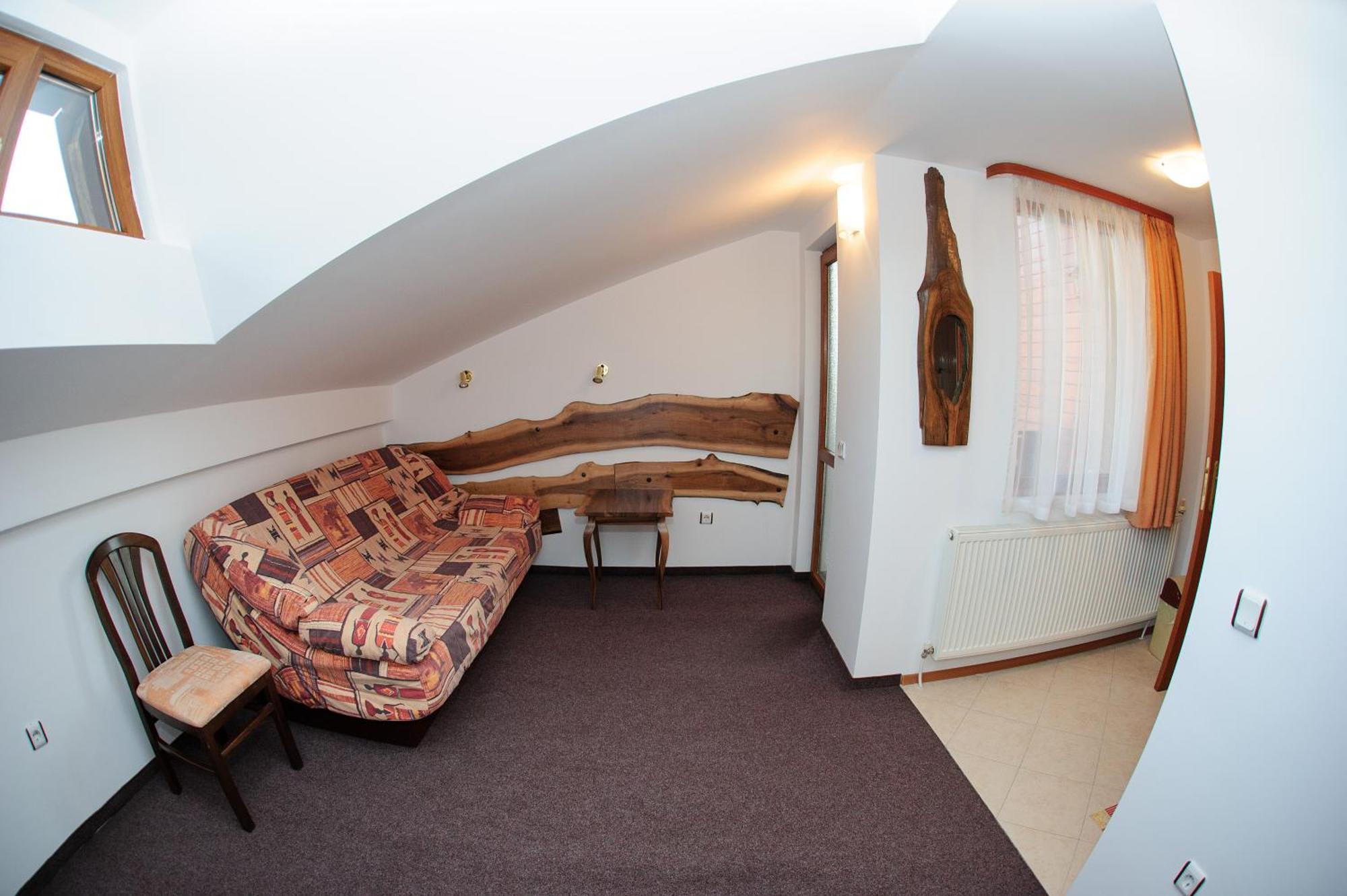 Apartment Attic