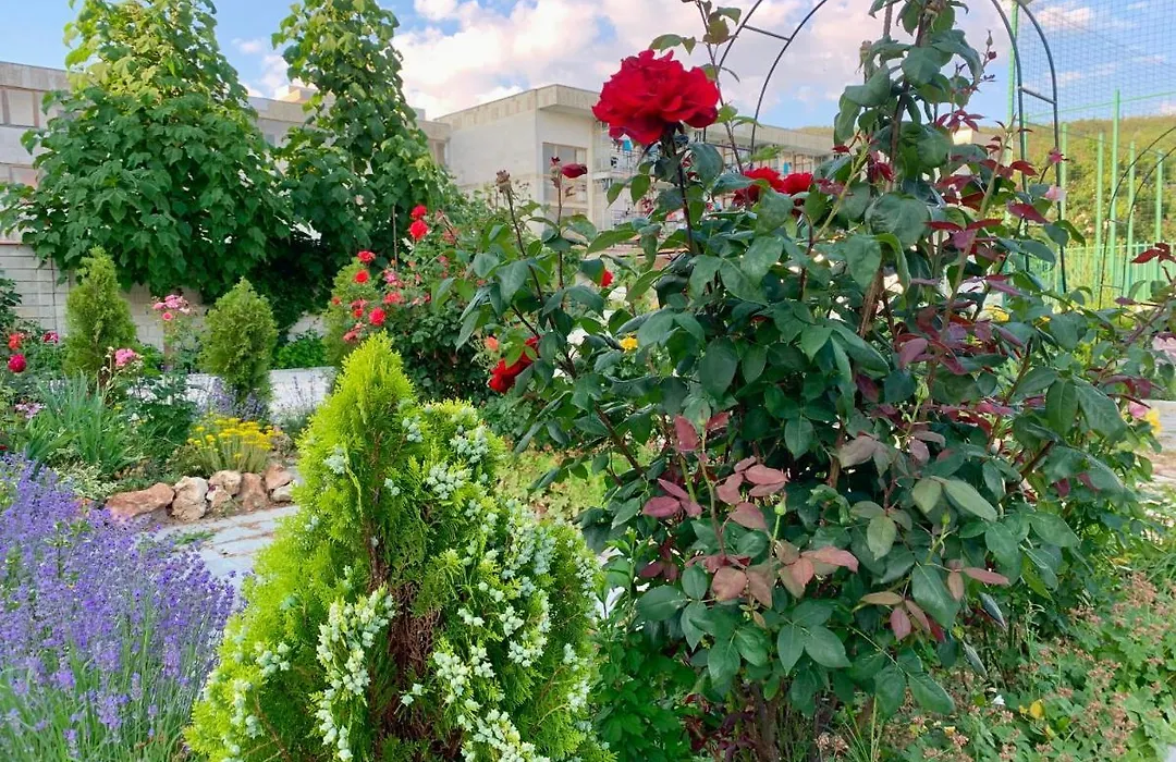 Maria Garden-1