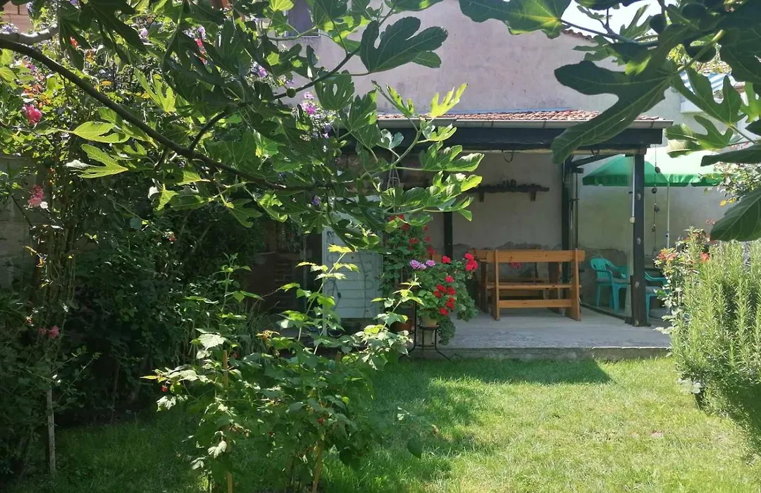 Guest House Sokratovi-1