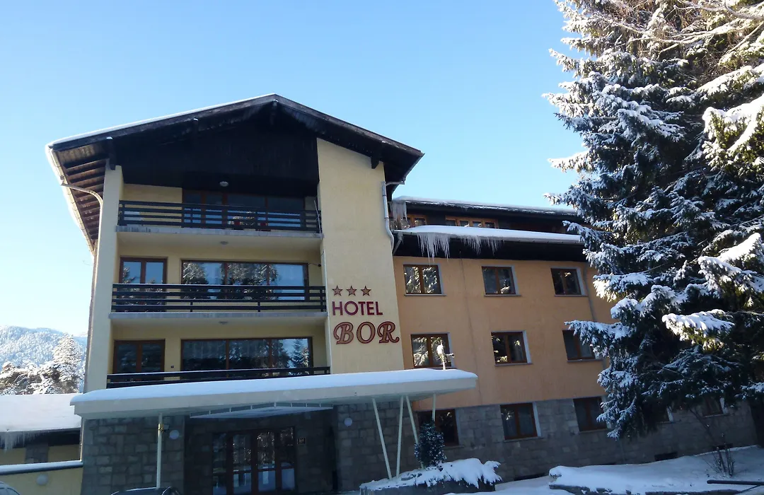 Hotel Bor-1