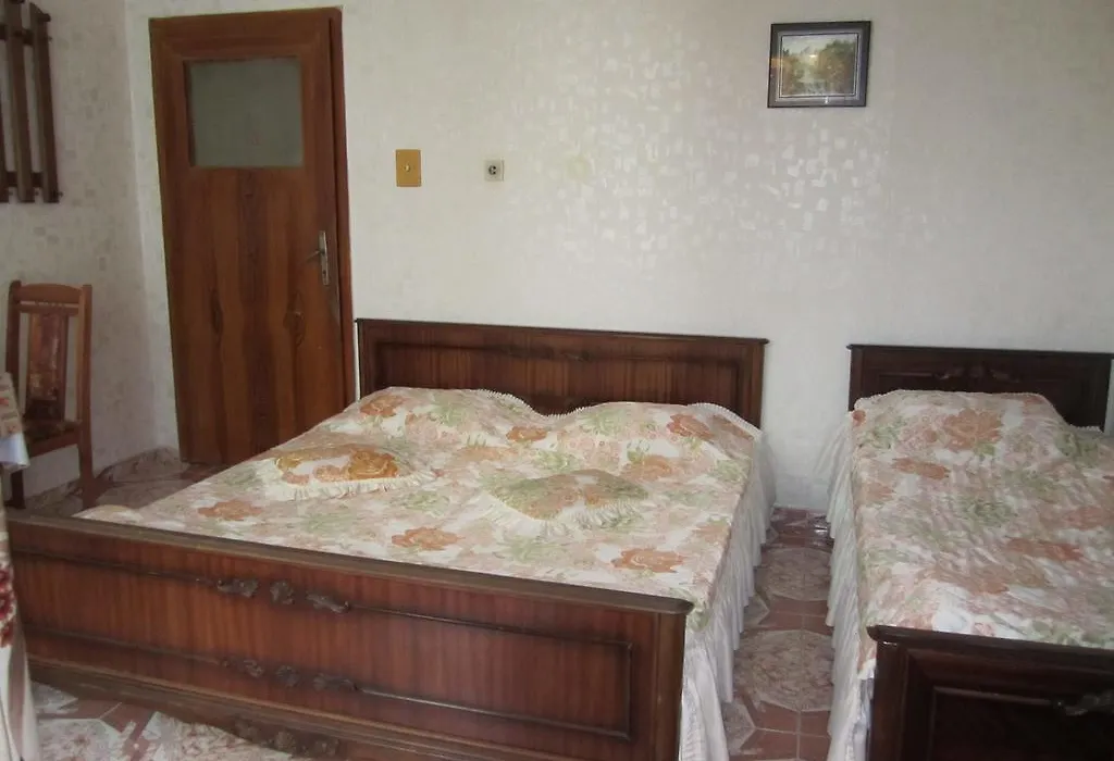 Central Guesthouse-1
