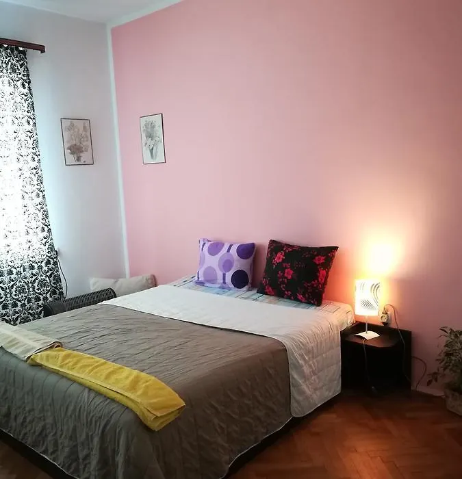 Belle Stelle Sofia-1