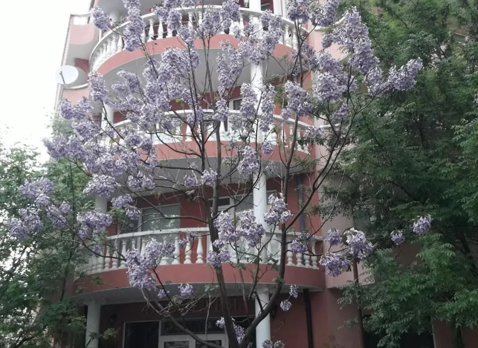Art Guest House Orchidea-1