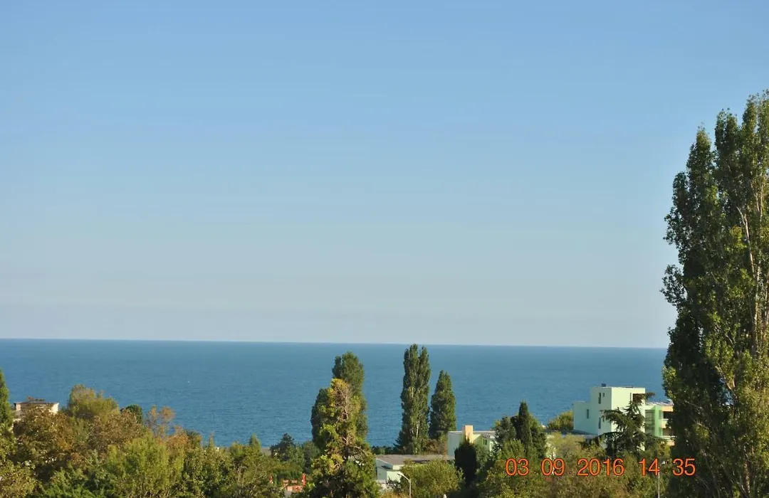 Guest House Palma-1