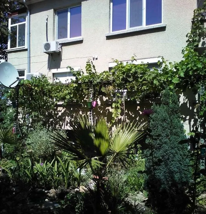 Viki-1