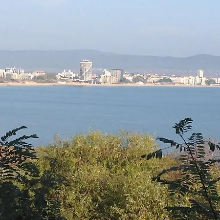 Flores Park-3