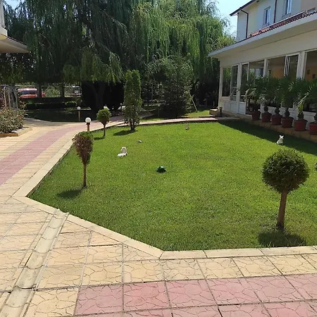 Sunny House Apartments & Pool-2