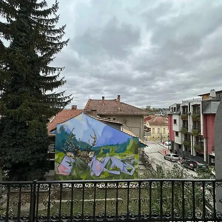 Guesthouse Petra-3