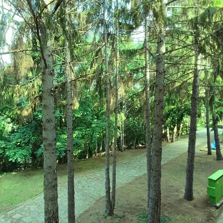Park Hotel Briz-3