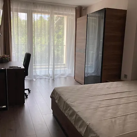 Experience Suite-2