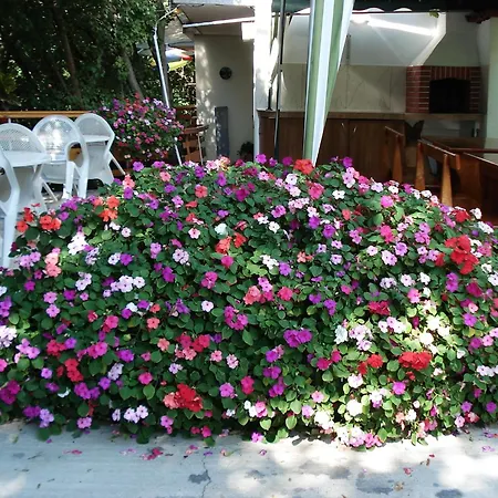 Villa Exotica-3