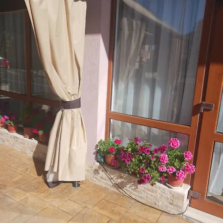Guest House Vasilevi-3