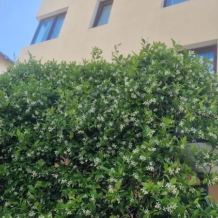 Flowers Apartments-3