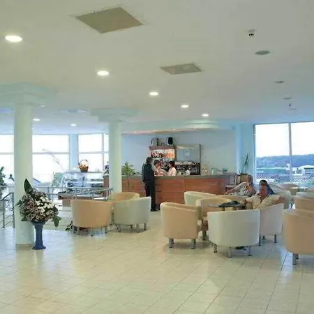 Dolphin Marina-3