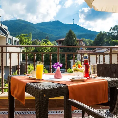 Hotel Villa Boyana - Free Parking-3