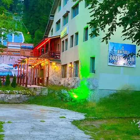 Hotel Forest Star On The Ski Slope-3