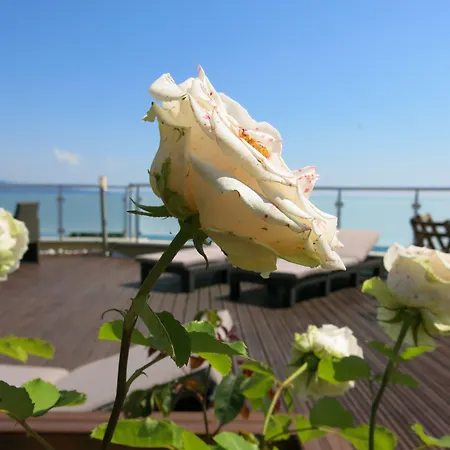 Family Hotel Albizia Beach-2