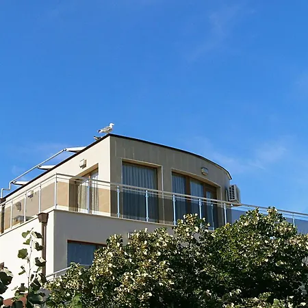 Guest House Saint Apostol-3