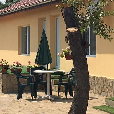 Guest House Viola-3