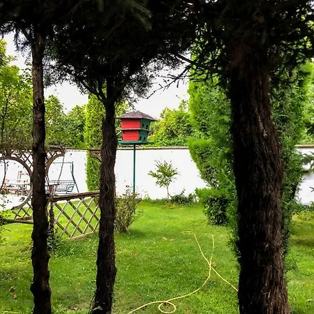 Exotic Guest House-3