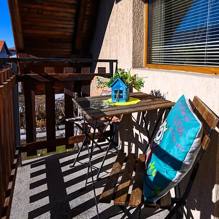 Family Hotel Chichin-2