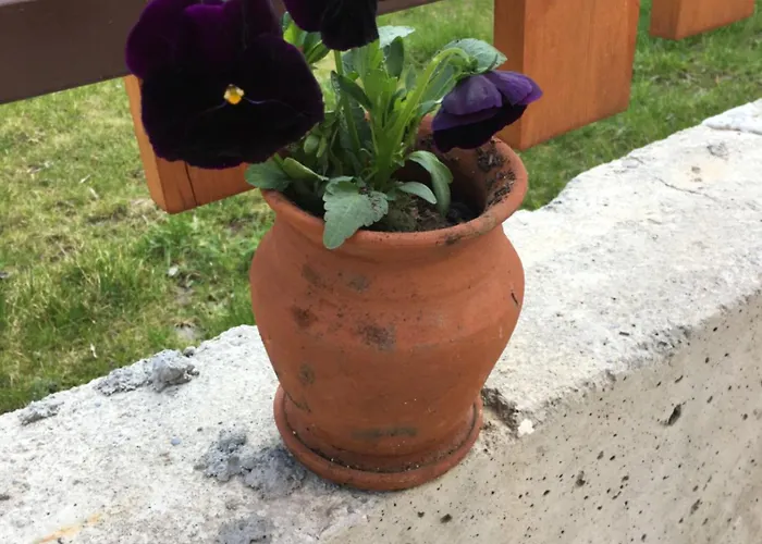 Sofia Family House - Free Parking Hotel