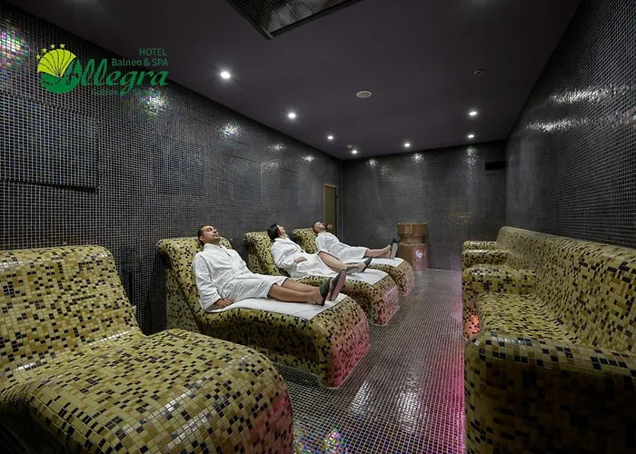 Hotel Allegra Balneo & Spa 4 Stars Nisipurile de Aur