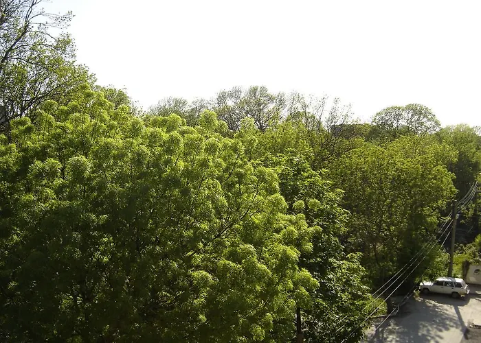 Central Park Family Hotel Cavarna