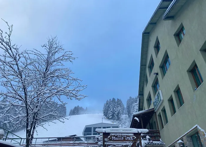Hotel Forest Star On The Ski Slope Borovets