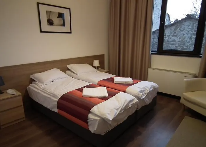 Lion Guest House Veliko Tărnovo